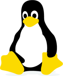 Ein sitzender Pinguin
